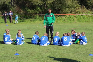 星空体育中国-中国篮球教练员战术创新能力培养及培训机制研究，全国篮球教练员岗位培训